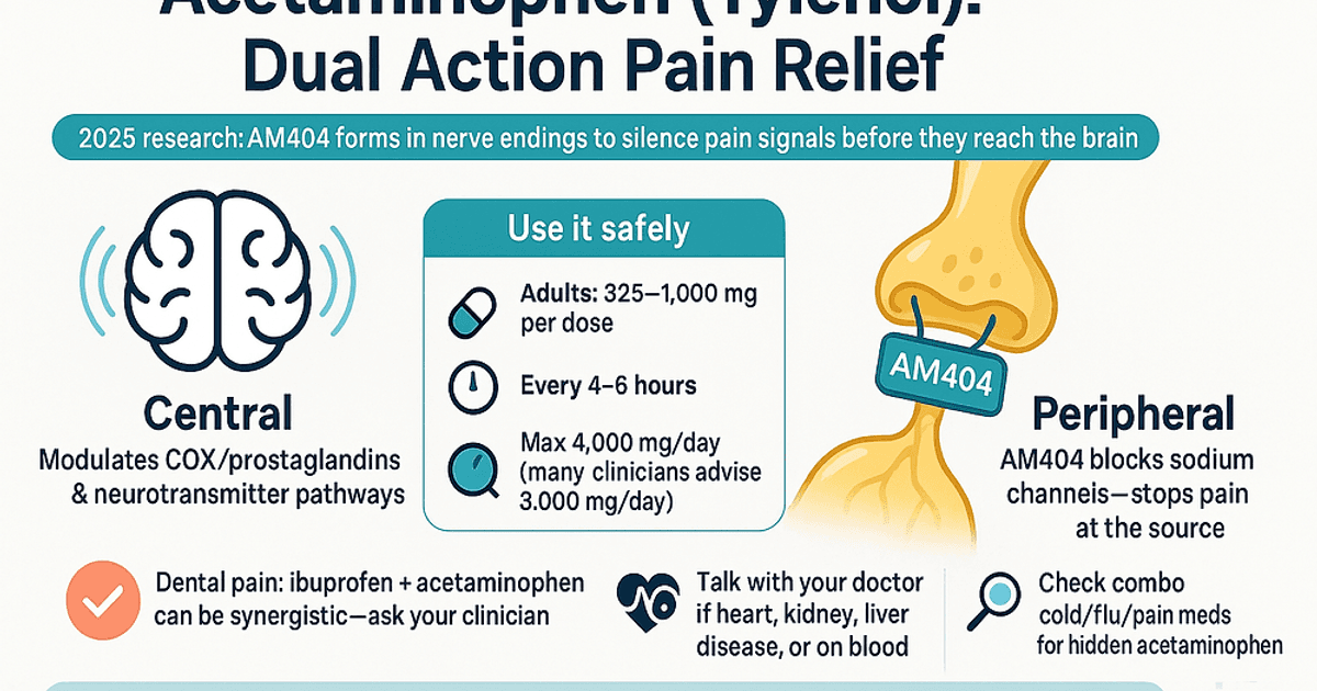 rewriting-pain-relief-tylenol-s-new-nerve-based-mechanism-and-what-it-means-for-you.jpg